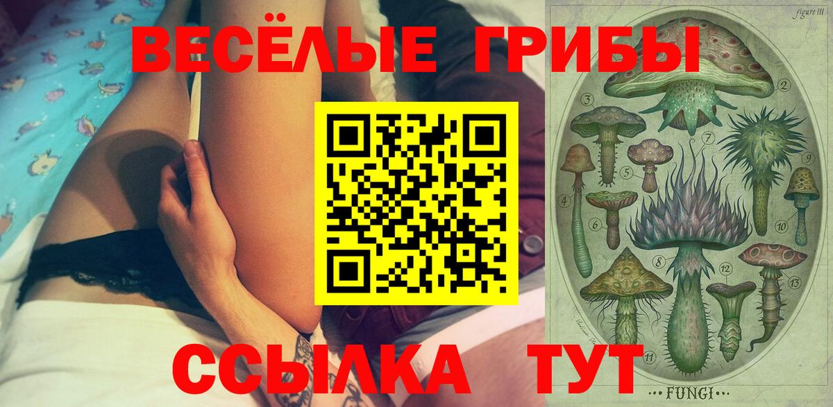 Галлюциногенные грибы Cubensis Шелехов