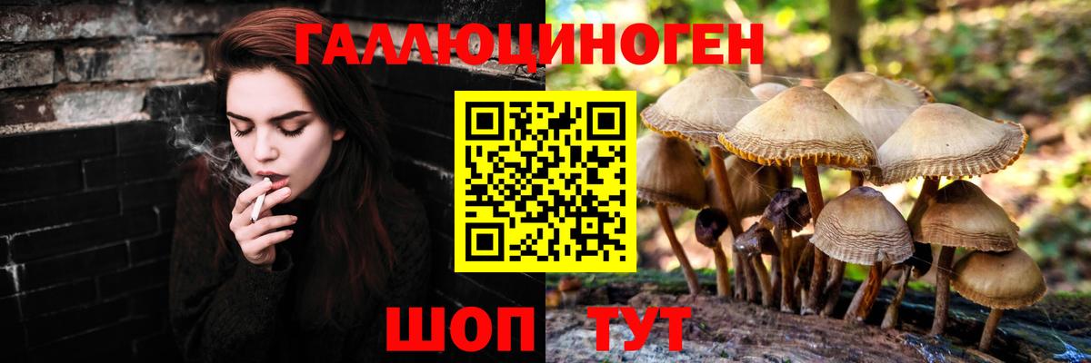 Псилоцибиновые грибы мухоморы  где купить наркотик  Шелехов  Вход с VPN 